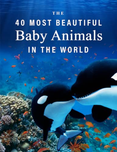 The 40 Most Beautiful Baby Animals in the World: A full color picture book for Seniors with Alzheimer's or Dementia (The "Most Beautiful World" Series)