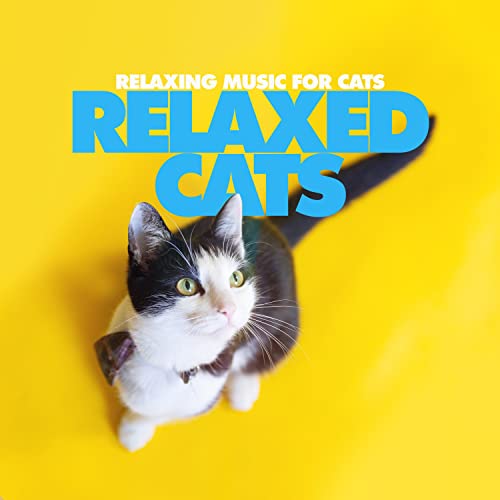 Amazon Music Unlimited Relaxing Music for Cats 『Relaxed Cats』