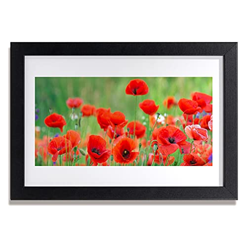 Affiche encadrée 30x20 cm Tulup Maki plante nature cadre MDF noir