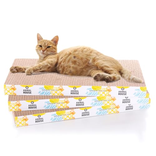 Animal House Set griffoir pour Chats en Carton 3 pièces pour Le Plaisir de Vos Amis félins, 2 Couches réversibles (Droit, 3)