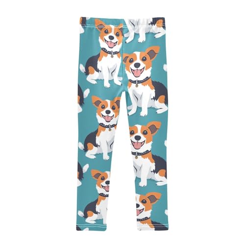 Dog in Collar Girls Leggings,Workout Leggings for Girls Toddler Athletic Legging Size for 3-10T2