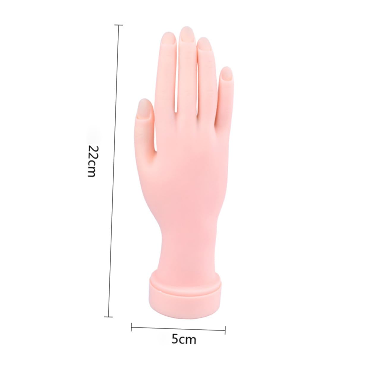 Beavorty 2pcs Nail Tech Supplies Manicure Hand Model Life-sized Practice Hand Insertable Nail Tips