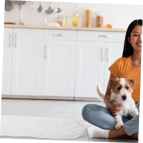 Mipcase 10 Peças Almofada De Fralda Para Cachorro Fraldas Para Recém-Nascidos Mictório Almofada De F