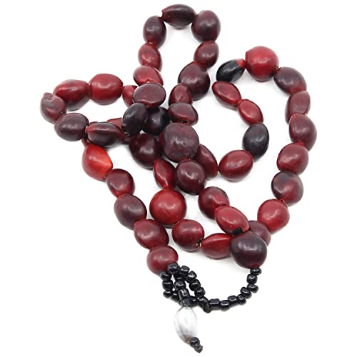 Shamans Market Shipibo Amazon Huayruro Seed Necklace2