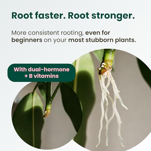 Image of Propogation Drops by The Green Alcove | Rooting Hormone for Cuttings in Water and Soil, Includes 2 Types of Hormones and Added Vitamins for Root Growth (4 fl oz)