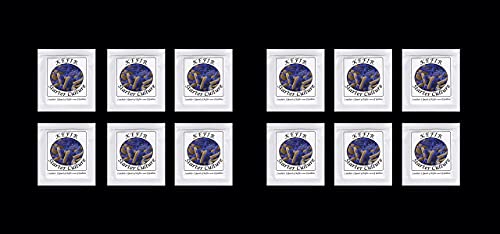 Kefirferment – 12 Beutel gefriergetrockneter Starterkulturen