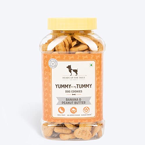 Heads Up For Tails Yummy in My Tummy Banana & Peanut Butter Dog Biscuits for All Life Stages - 800G