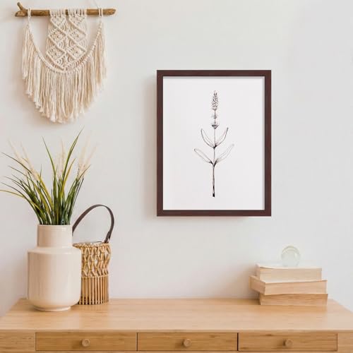 Image of LaVie Home 8.5x11 Picture Frame for Wall Display, 8.5x11 Brown Picture Frame with HD Plexiglas, 8.5 x 11 Poster Frame 1 Pack, Display Frame for Vertical or Horizontal, Classic Collection