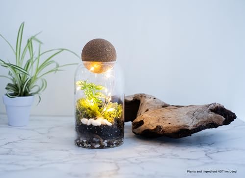 Glass Terrarium with Airtight Wood Lid (Ball Cork) | Closed Terrarium Planter | Clear Glass Bottle Jar Container | 800ml / 27oz | Moss Terrarium Jar | Indoor Ecosystem Decoration Gifts (Only Jar) - Image 3
