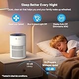 Dr.Prepare 1,000ml Electric Dehumidifier and Air Purifier with Washable Pre-Filter, Quiet Dehumidifier and Air Purifier with Auto Off & Timer Function for Damp, Mould in Home, Bedroom, RV, Garage - Image 9