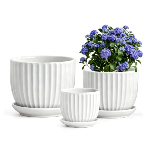 White Plant Pots,Ceramic Flower Pot Set of 3 with Drainage Holes & Saucers