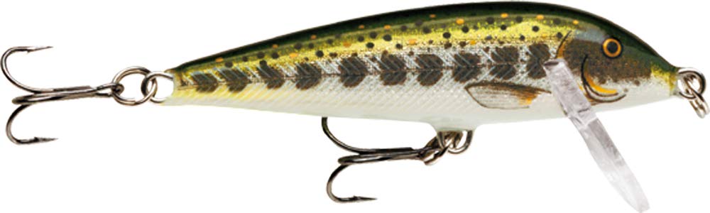 Rapala CountDown Lure with Two No. 10 Hooks, 0.9-1.8 m Swimming Depth, 5 cm Size, Muddler