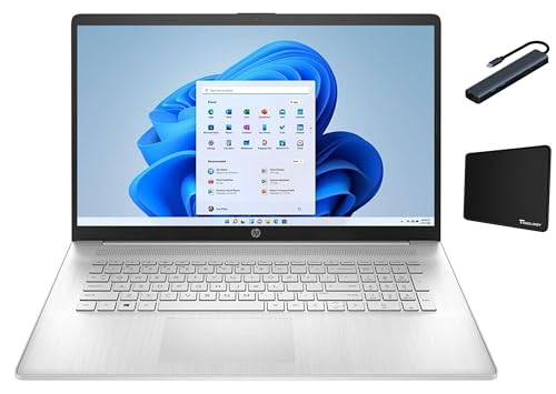 Image of HP 17.3