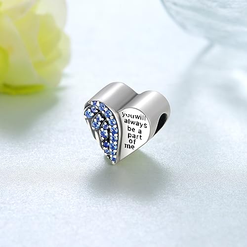 Angel Wing/Pet Cremation Charm for Ashes 925 Sterling Urn Beads for Bracelets Keepsake Memory Jewelry for Women2