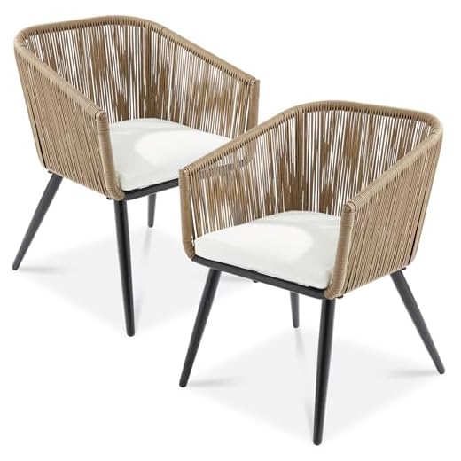 Set of 2 Patio Dining Chairs