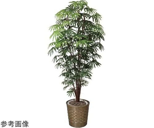 シュロチク」の人気商品一覧 | 安い商品を通販サイトから探す - 価格.com