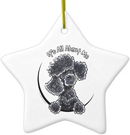 toy poodle al