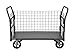 Durham W3SPT-306038-1-8MR95 Wire Cart, removable handles