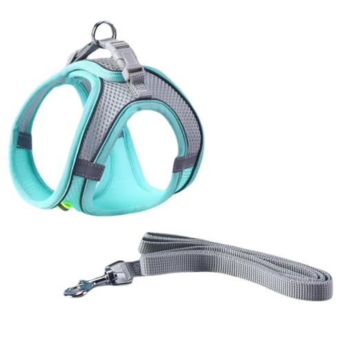 ideamall  n[lX tFbg nX^[  [h y bVf [ht (u[)