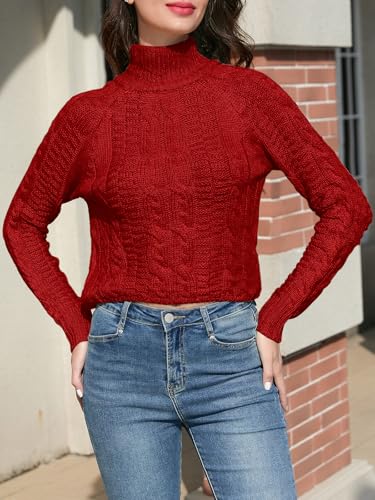 Image of DAIMIDY Women's Crop Sweaters, Sexy Cropped Chunky Knit Long Sleeve Pullover Turtleneck Jumper Tops with Twisted Pattern