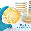 10pcs Prepoured Agar Plates, Petri Dishes with Nutrient Agar for Laboratory and Science Experiments, School Project Supplies, 2. 75 X 2. 75inch