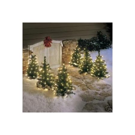 Amazon Com Set Of 3 Prelit Walkway Trees Pathway Trees Home Kitchen
