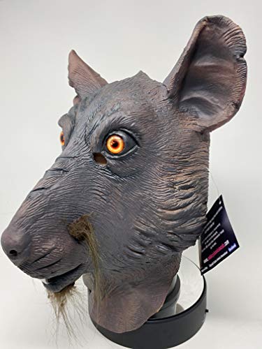 Photo complémentaire