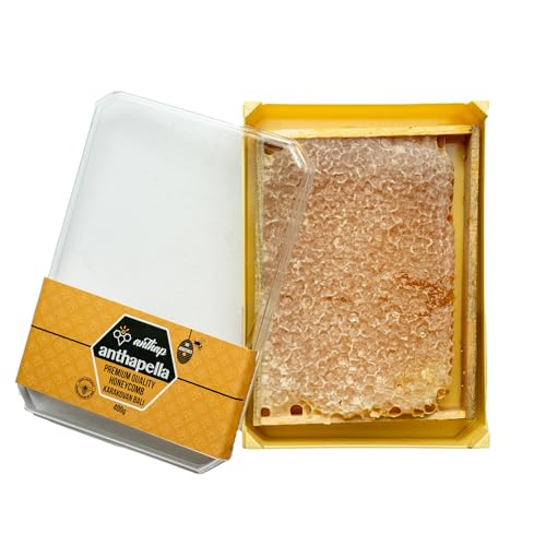 Anthap 100% Natural Premium Honeycomb Honey 100% Raw & Unprocessed Rich Golden Flavor Premium Ideal for Breakfast Toast & Desserts Naturally Sweet 400g