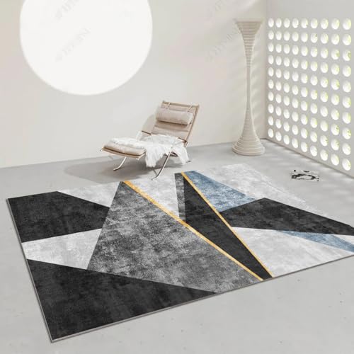 �uFrisence�v���O �J�[�y�b�g �􂦂� �̎╗ ����~�ߕt�� �h�� �h�� ���g�[�Ή� �z�b�g�J�[�y�b�g�� �}�C�N���t�@�C�o�[ ��z�R�� �i�`������ ����������� ���r���O �Q�� �a�� 160×230cm FRISY28-D49