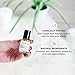 Nail & Toenail Fungus Treatment - Fungal Nail Eliminator with Tolnaftate formulated by Physician to Cure Athlete's Foot Therapy & Infected Toe Nails Fungus (0.5 Ounce (Pack of 1))
