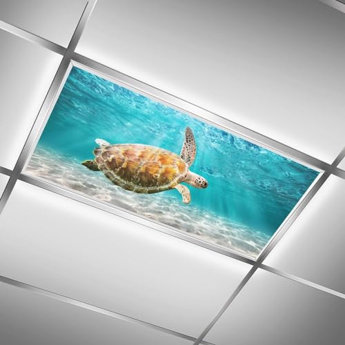 Image of 2 Pack Fluorescent Light Cover for Ceiling Light -Swimming Turtle Magnetic Light Covers Classroom, Light Filters Drop Fluorescent Light Shade Panel for Office Home School,4 x 2 Ft