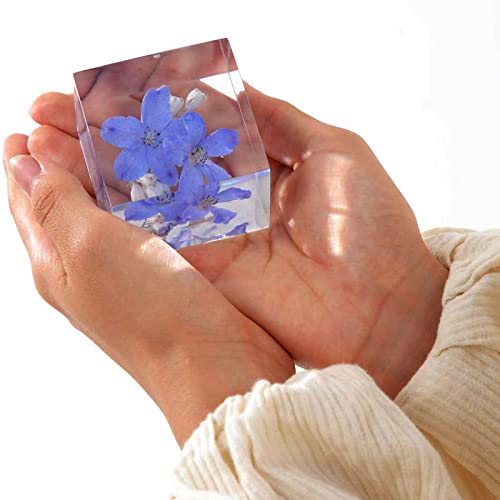 [フェリナス] ハーバリウム クリスタル 幸せの青い花 プレゼント デルフィニューム [5]