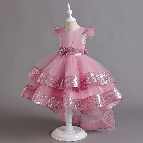 Girls Embroidery Princess Dress Kids Sleveless Wedding Birthday Party Long Tail Prom Gowns4