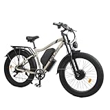 AOERACY Bicicleta Eléctrica para Adultos, Fat Bike Electrica 26x4.0, Batería 52V25Ah (hasta 110 km), Suspensión Delantera, 7 Velocidades, 150 kg Carga - Ideal Montaña/Urbano, Certificada CE/UL