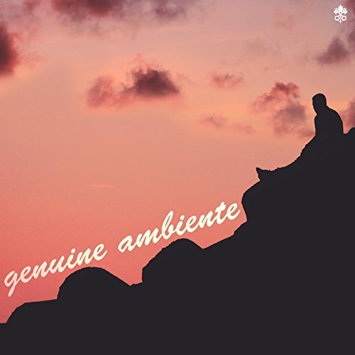 Neddle Injection Genuine Ambiente von Various Artists & Alex Doan & Primate & Marka ...