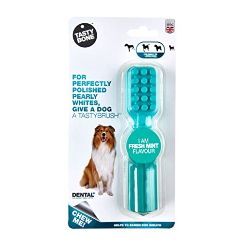 TastyBone TastyBrush Dental Nylon Dog Chew Toy (Fresh Mint) - Strong Healthy Teeth & Gums, Indestructible for Aggressive Chewers