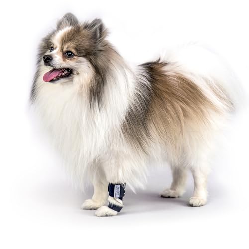 Image of Balto Splint Carpal /Tarsal Brace- Hyperextension Dog Brace with Aluminum Splint - Supports Fractures and Sprains - Leg Support (Large)
