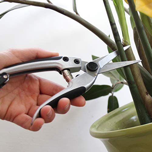 Tabor Tools K18A Pruning Shears With Straight Japanese Style Blades, Florist Scissors, Multi-Tasking Garden Snips For Arranging Flowers, Trimming Plants And Harvesting Herbs, Fruits Or Vegetables. #TOP3