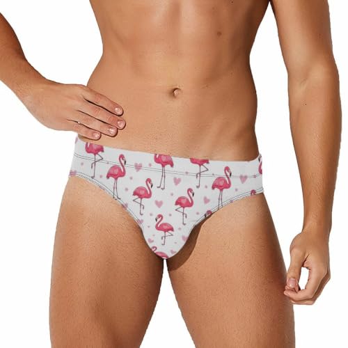 Supdreamc Mens Flamingo Low Waist Swim Beach Briefs for Travel