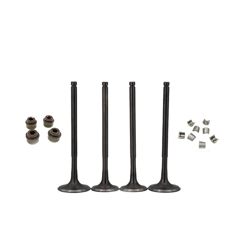 Zawór motocyklowy zacisk blokady zacisk uszczelka olejowa wlot i wydech pasuje do ZON-GSHEN-Motor Racing NC250 ZS177MM 250cc 4 suwowy BS-E KA-YO K6 (Color : Full set)