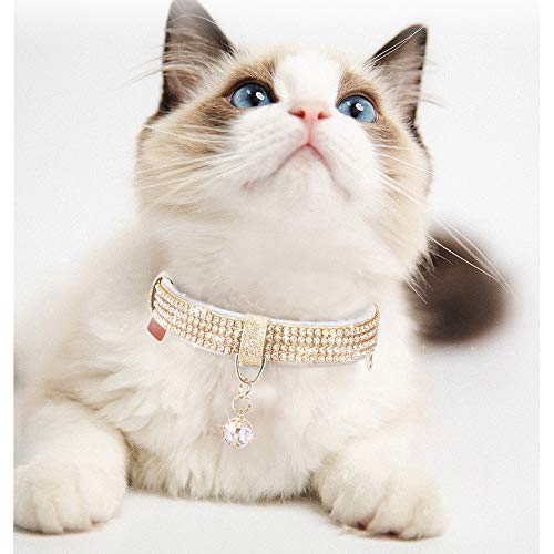 Image of Cat Collar, Dog Collar, [Bling Rhinestones] Premium PU Leather with Pendant Adjustable Collars for Cat and Small Dog Extra Small Gold