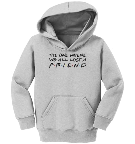 Haase Unlimited The One Where We All Lost A Friend - Toddler/Youth Fleece Hoodie