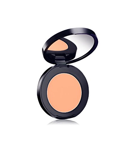 Estee Lauder Double Wear Concealer 0.10 Oz Estee Lauder/Double Wear Stay In Place High Cover Concealer 2w Light Medium.1 Oz Warm Spf 35