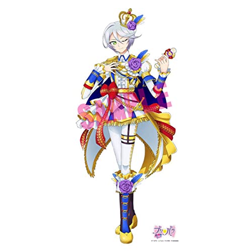 Amazon.co.jp: プリパラ ひびき 紫京院ひびき 等身大タペストリー 