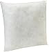 AmazonBasics Pillow Insert - 18-Inch Square, 2-Pack