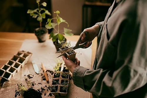 Ciseaux universels ReNew ® recyclés pour droitier 21cm - vue 5