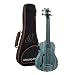 Bamboo Series All Solid Acoustic-Electric Uke-Bass w/Bag