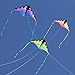 Prism Kite Technology Zenith 5 Single Line Delta Kite, Ultraviolet