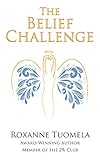 The Belief Challenge