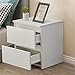 15.7"* 11.8" * 11.8"Sunctstand Szafka Szafa Organizator Domowy Meble do sypialni Bed Book Tabela 2 Skrzynia szuflady (Color : White)